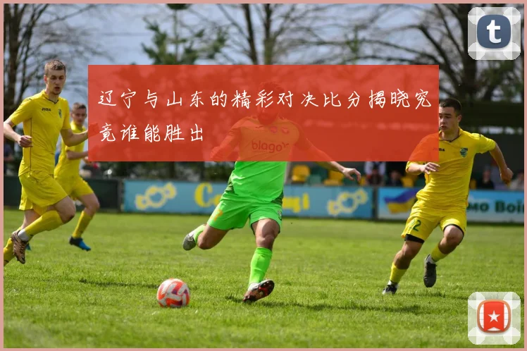 辽宁与山东的精彩对决比分揭晓究竟谁能胜出