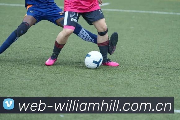 辽宁与山东的精彩对决比分揭晓究竟谁能胜出